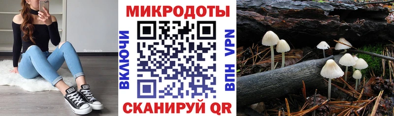 Псилоцибиновые грибы GOLDEN TEACHER  Купить закладки  Опочка 